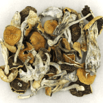 Full Moon Party | Strongest Shroom Strain Canada