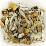 Orissa | Strongest Shroom Strain Canada