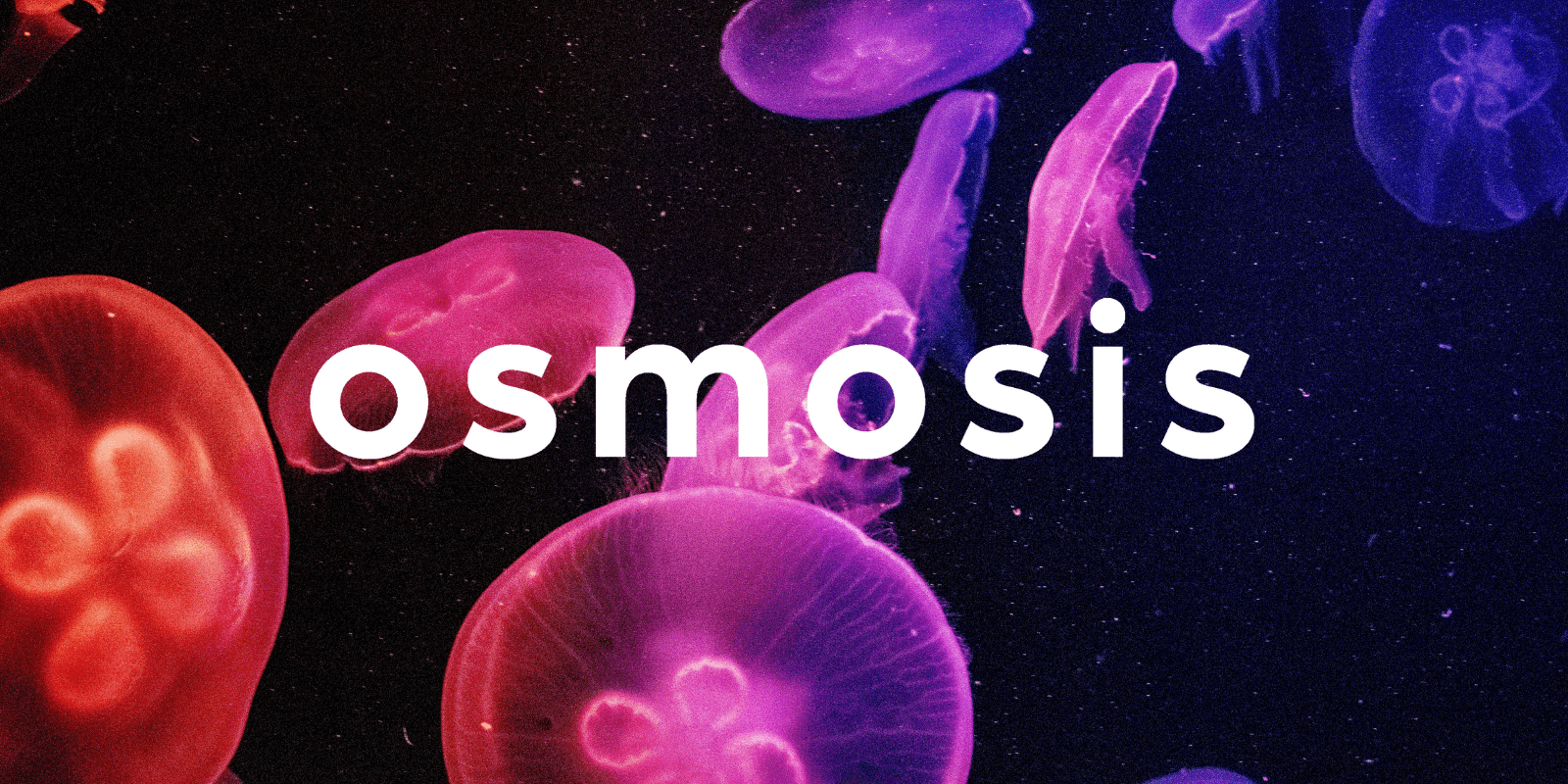 Zoomies osmosis banner | Strongest Shroom Strain Canada