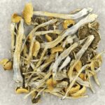 Trinity | Strongest Shroom Strain Canada