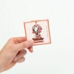 Wonder – Psilocybin Chocolate Bar – Blood Orange | Strongest Shroom Strain Canada