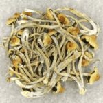 Hautla | Strongest Shroom Strain Canada