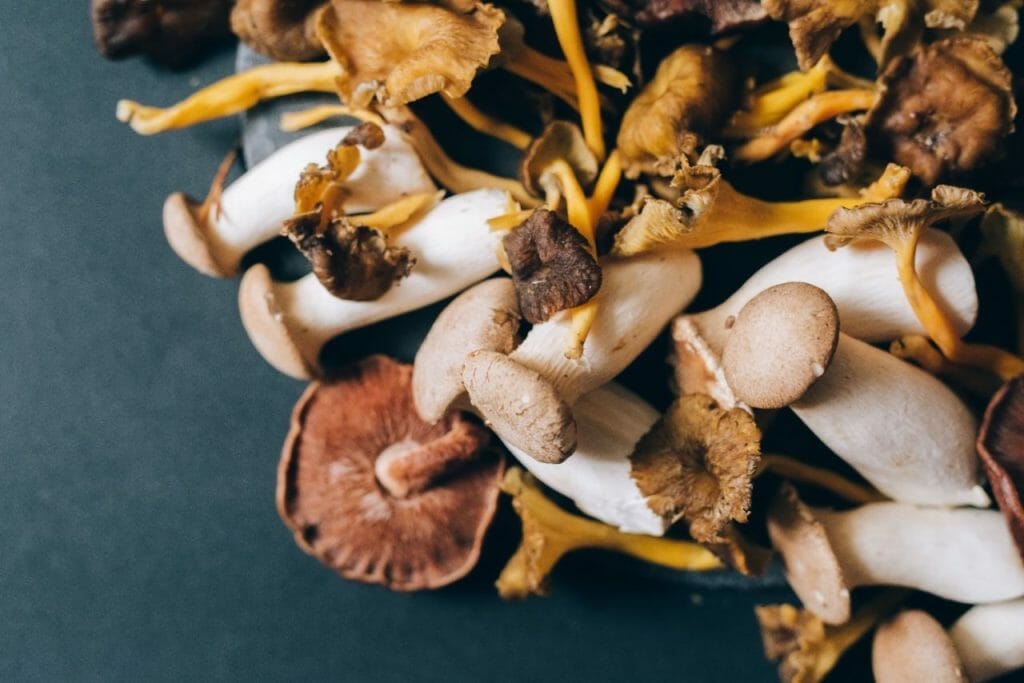 How Can Mushrooms Improve Your Health? Health benefits of mushrooms