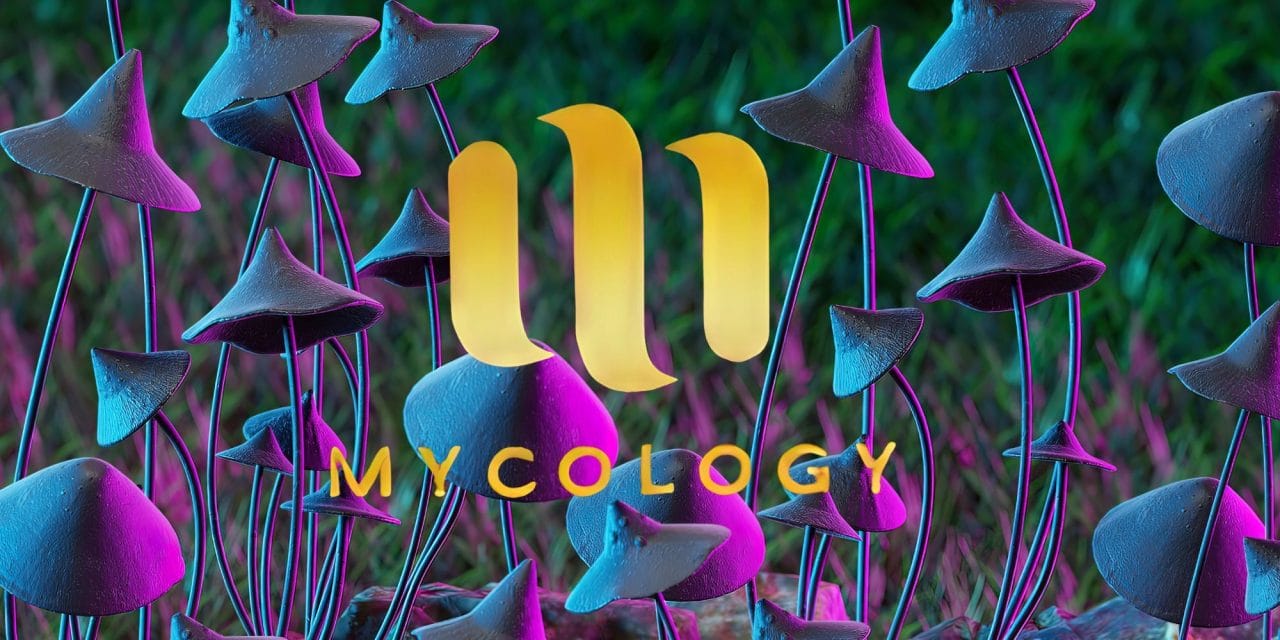 Zoomies Summer 2023 Banner - Mycology | Strongest Shroom Strain Canada