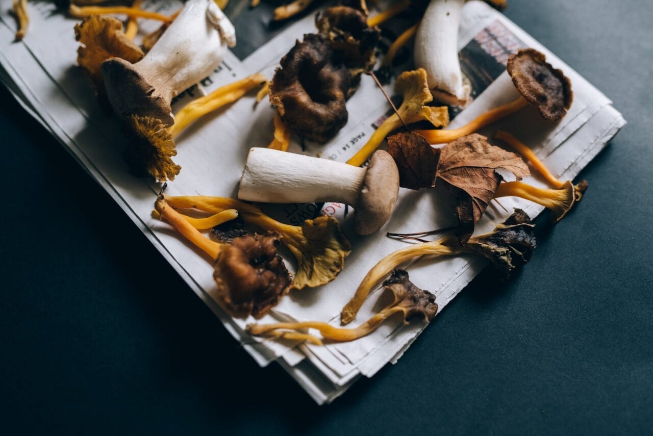 Is the Pairing of Mushrooms and Chocolate Effective?